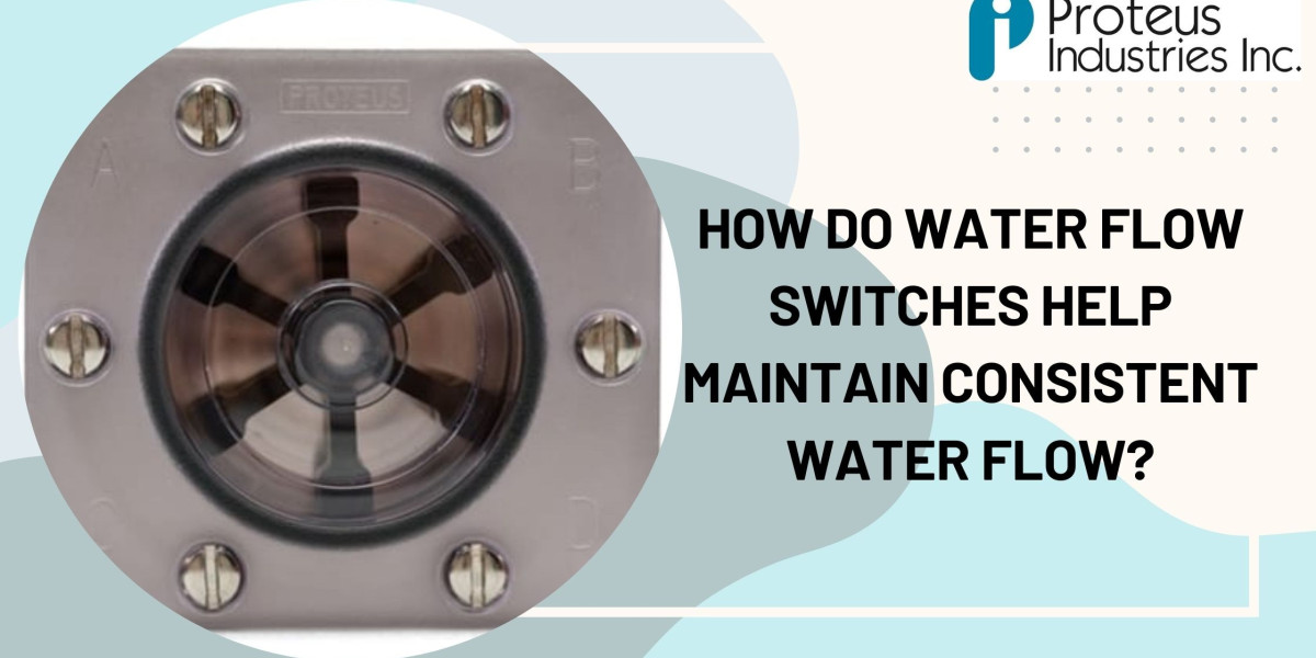 How Do Water Flow Switches Help Maintain Consistent Water Flow?