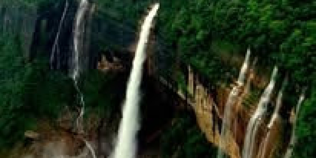 Experience Elegance with Exclusive India Luxury Tours