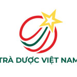 Trà Dược Việt Nam Profile Picture